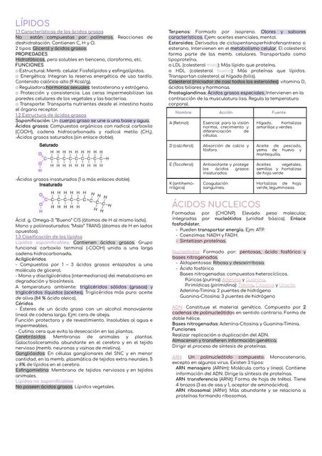 Lípidos, Ácidos Nucleicos y Proteínas