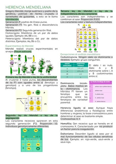 Herencia Mendeliana y Evolución