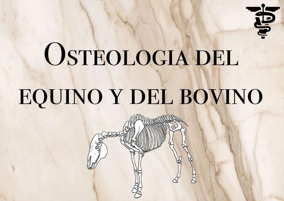 Osteología del Equino y del Bovino