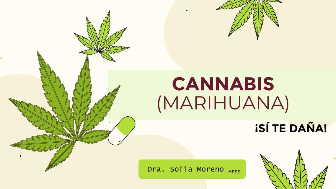 Cannabis marihuana