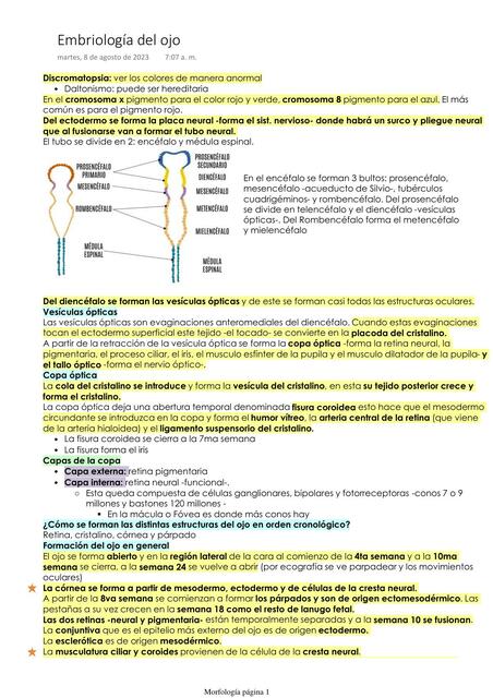 Embriología del ojo