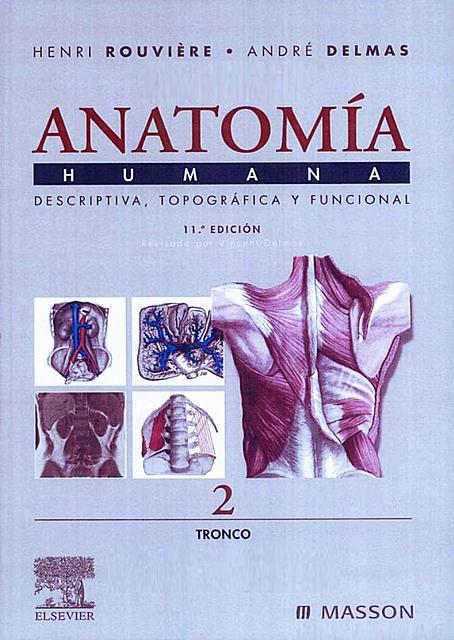 Rouviere Anatommia 11va Ed T2 Anatomia Anatomia Del Tronco Udocz