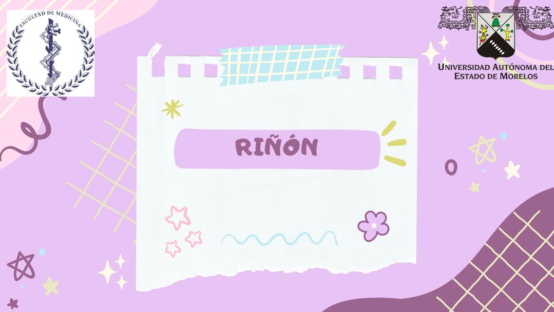 Riñon