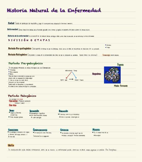 Historia Natural de la Enfermedad