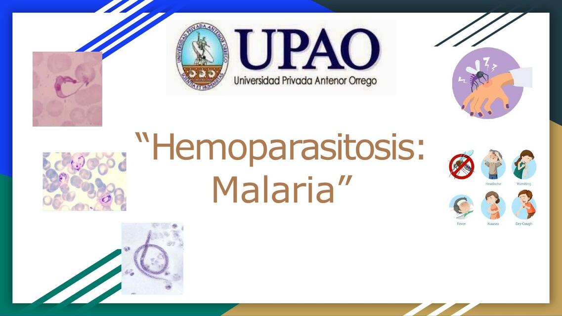 Hemoparasitosis: Malaria 