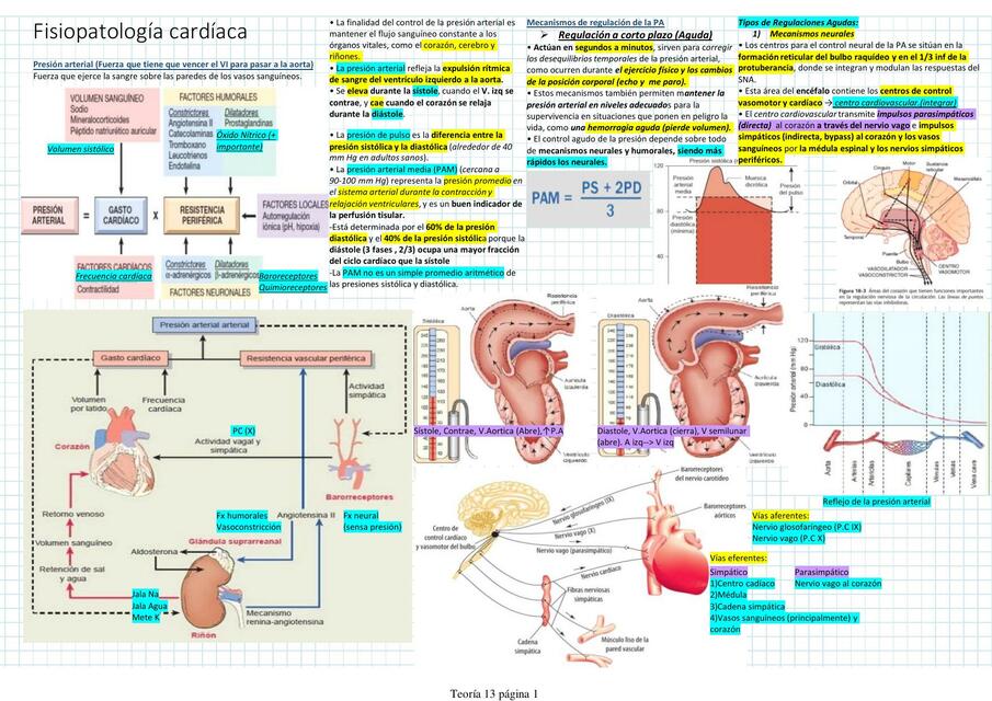 Fisiopatología Cardiaca 