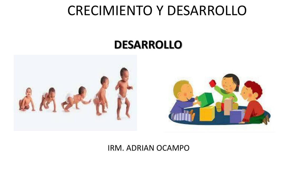 Desarrolló 