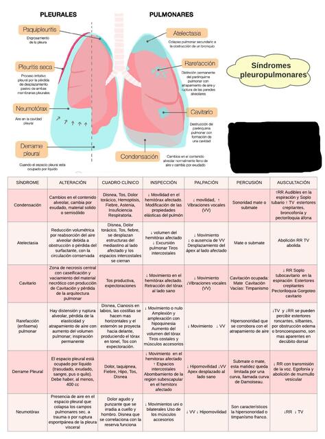 Síndromes pleuropulmonares