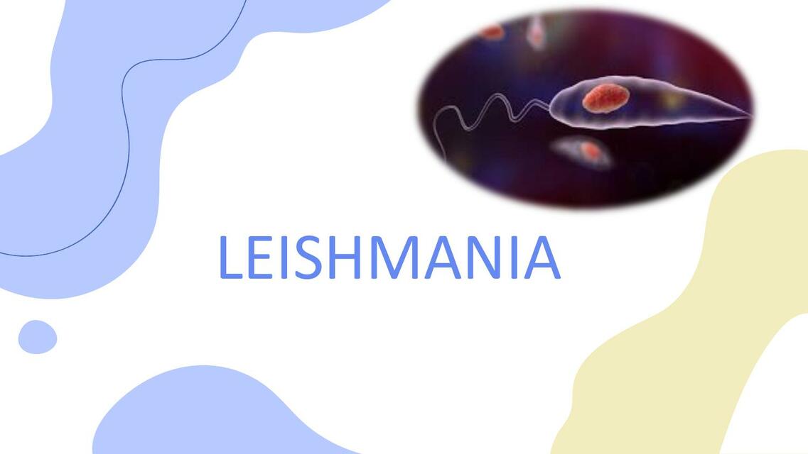 Leishmania 