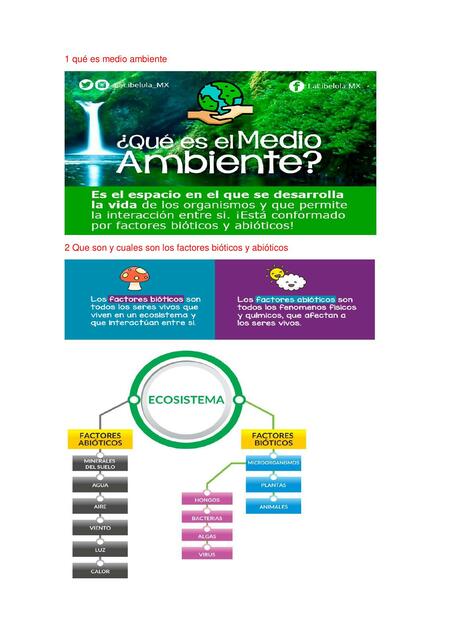 Medio ambiente