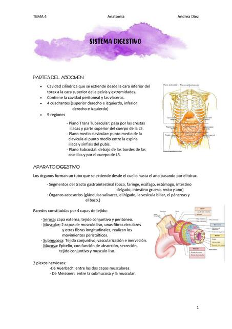 Tema 4 sistema digestivo
