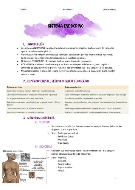 Tema 8 sistema endocrino