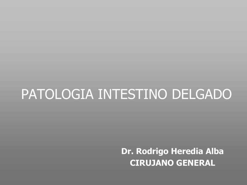 Intestino Delgado