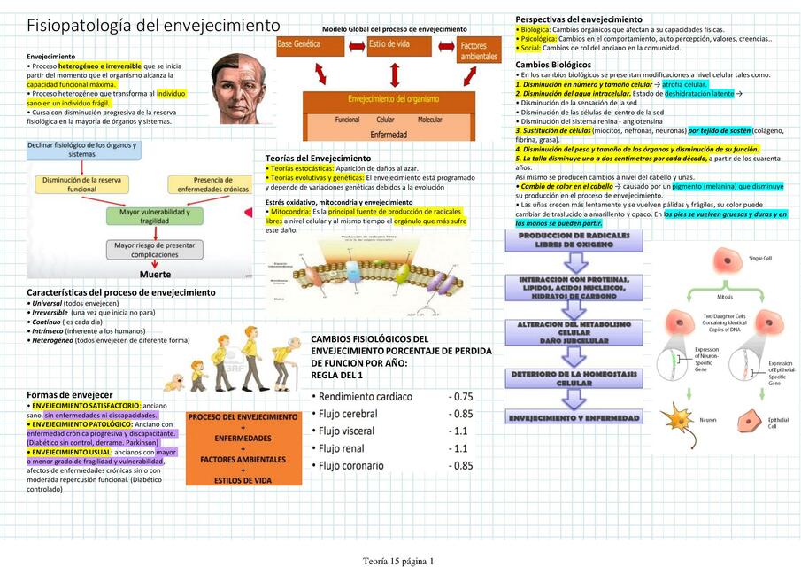 Fisiopatología del envejecimiento 