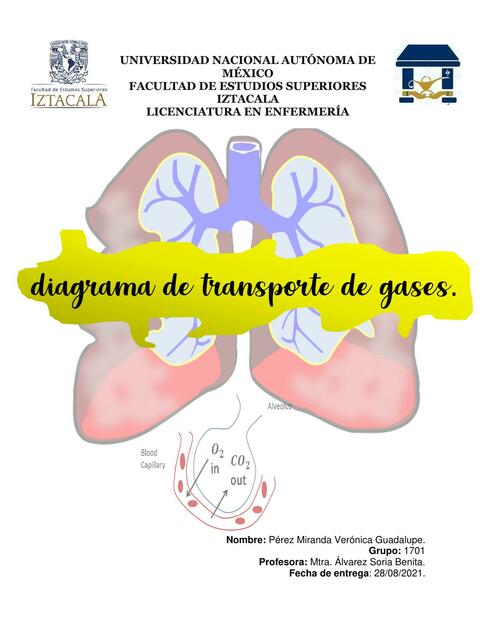 Diagrama de Transporte de Gases 