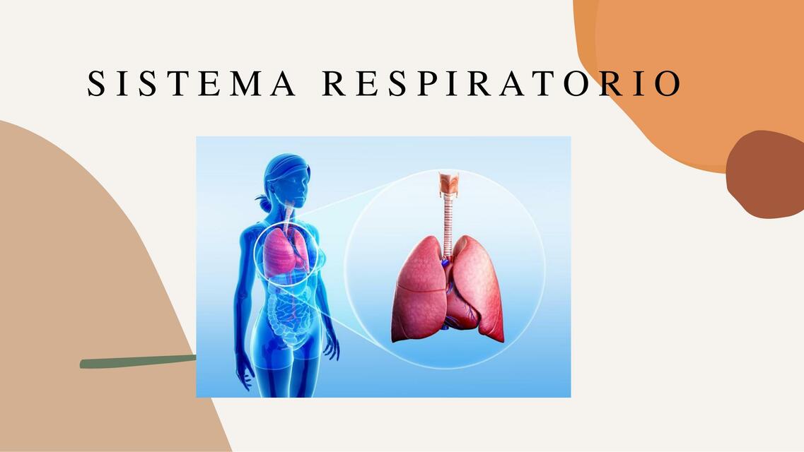 semiologia del respiratoriapptx