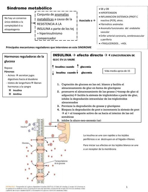 Síndrome Metabólico