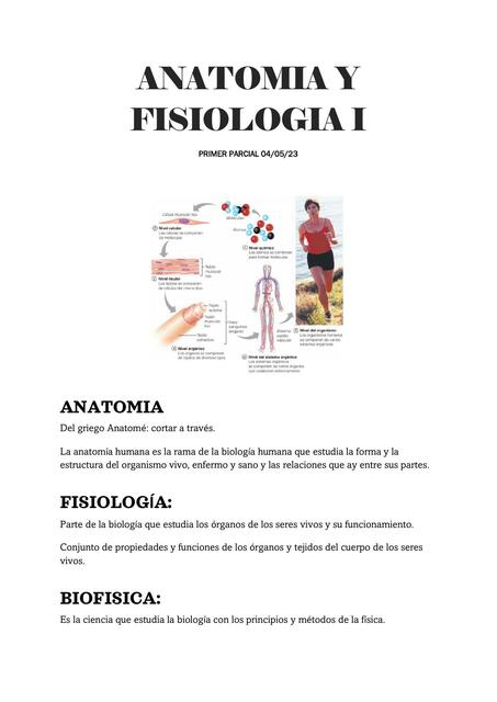 ANATOMÍA (nutrición)