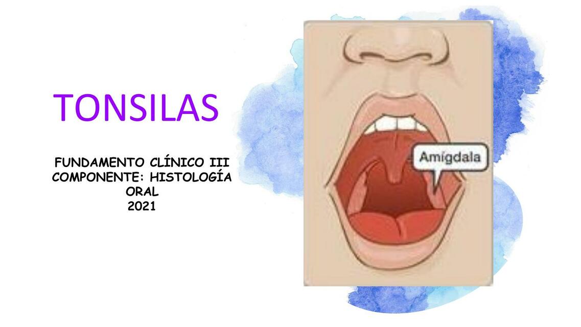 Seminario de histología