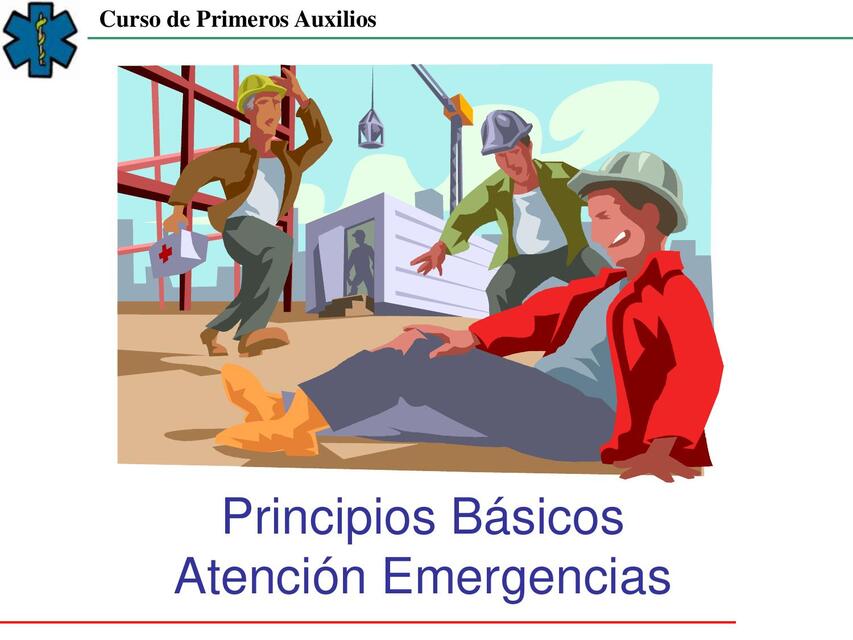 Principios básicos atención emergencias   