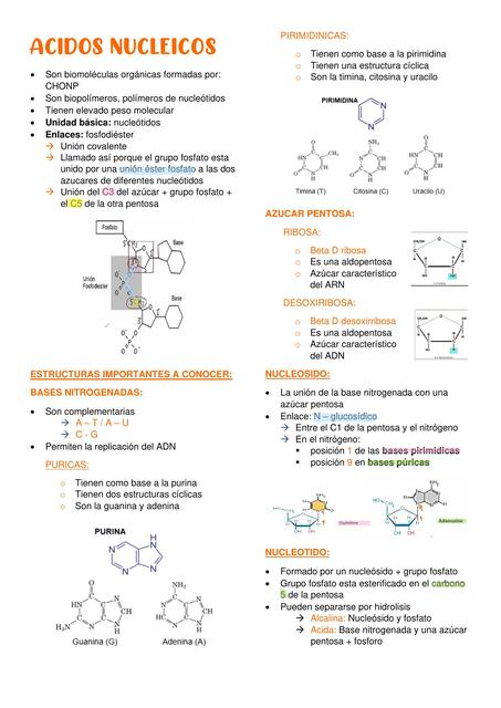 Acidos nucleicos