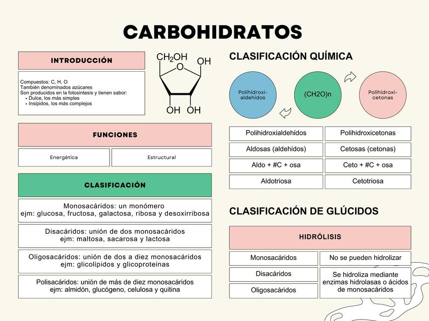 Carbohidratos