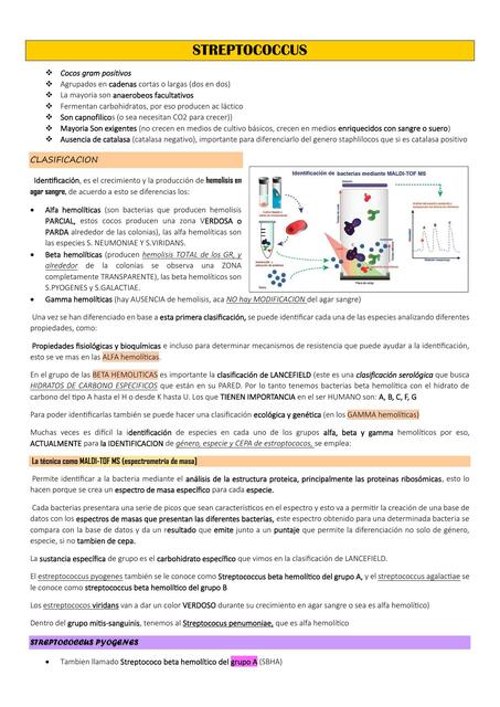 Streptococcus