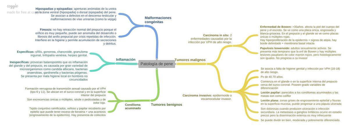 Patología de pene