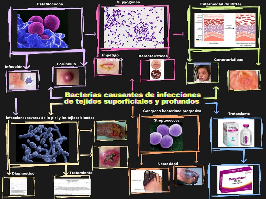 Bacterias Causantes de Infecciones de Tejidos Superficiales y Profundos 