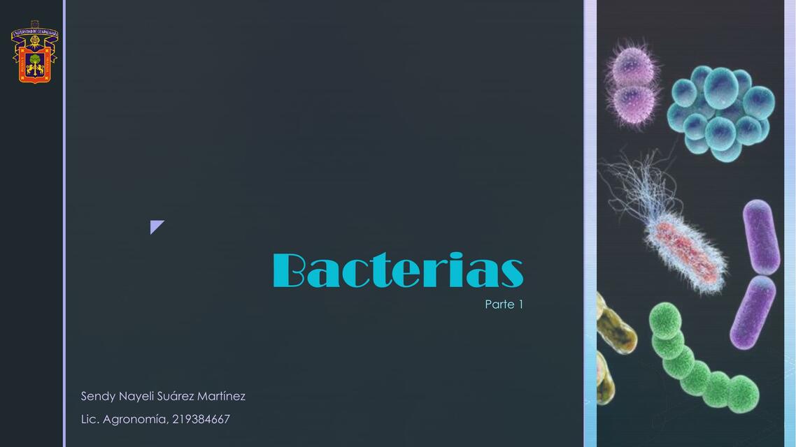 Bacterias