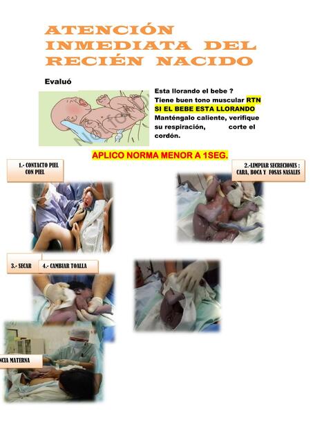 Atención Inmediata del Recién Nacido 