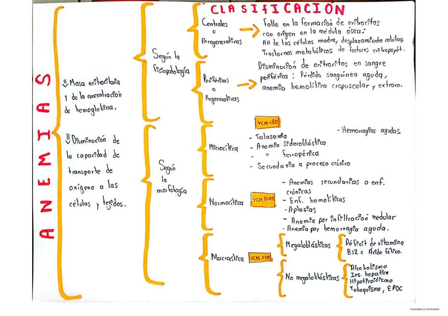 Anemias Clasificación