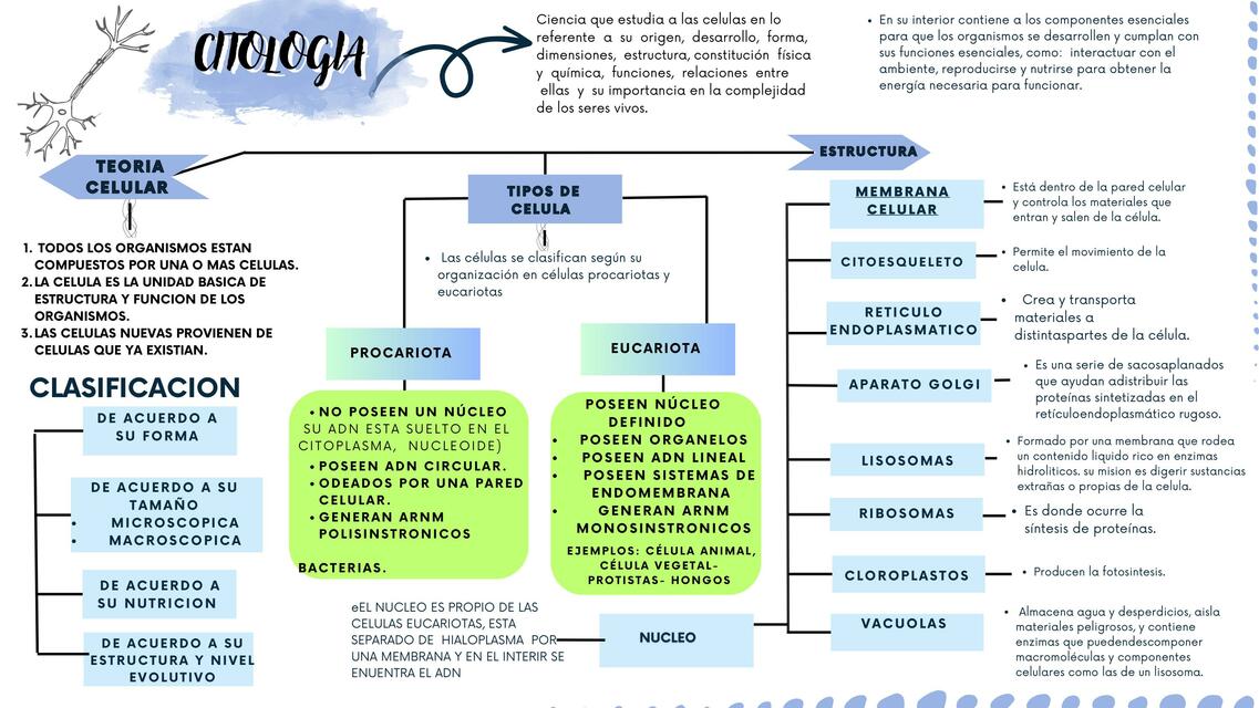 Mapa conceptual de citología