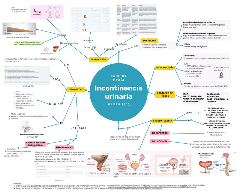 Incontinencia urinaria