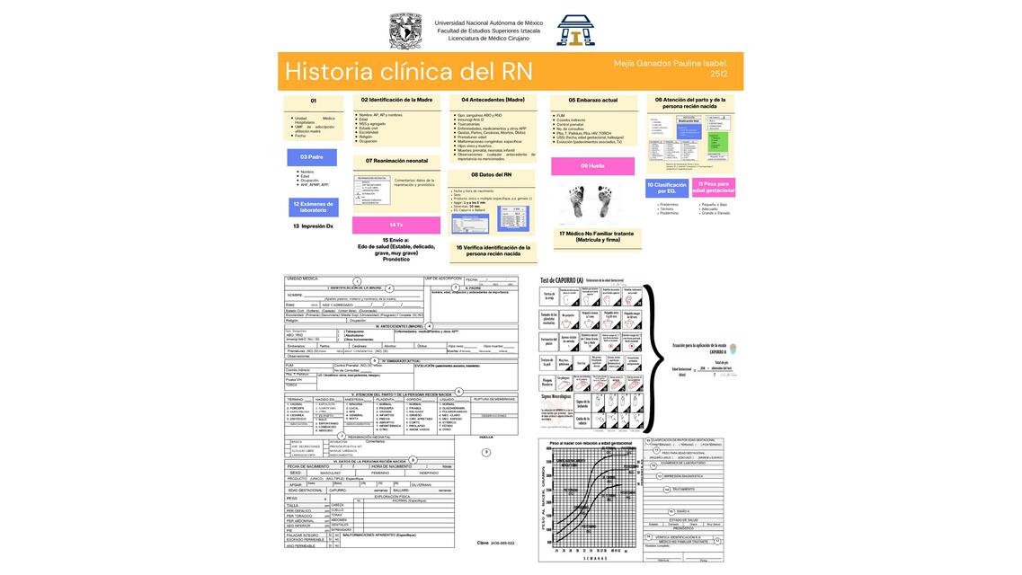 Historia clínica del RN