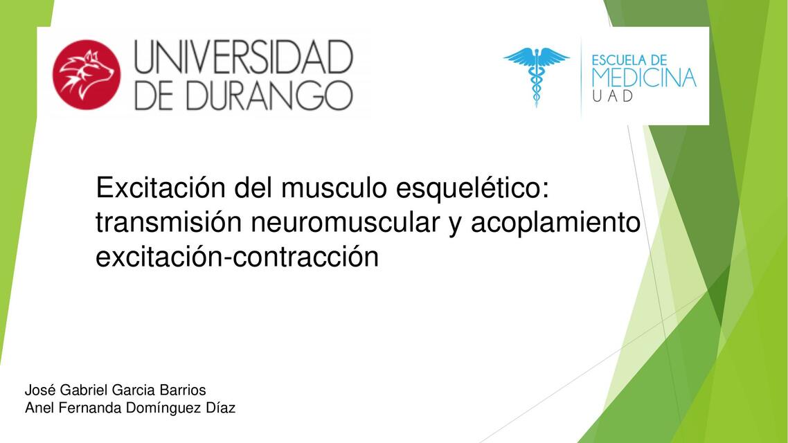 Excitación del musculo esquelético