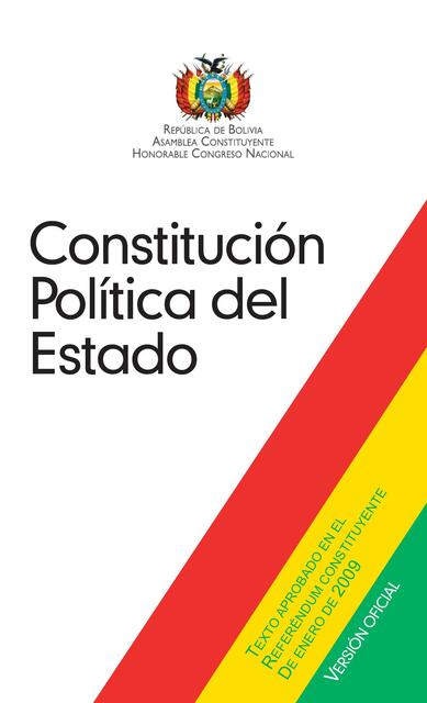 Nueva constitucion politica del estado