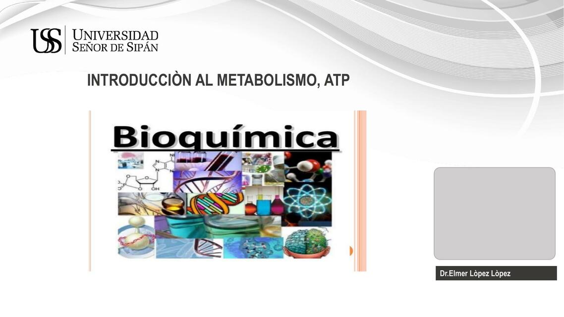 Introducción al Metabolismo 