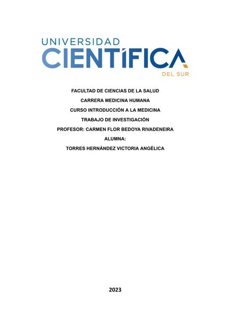 Informe de Investigación 