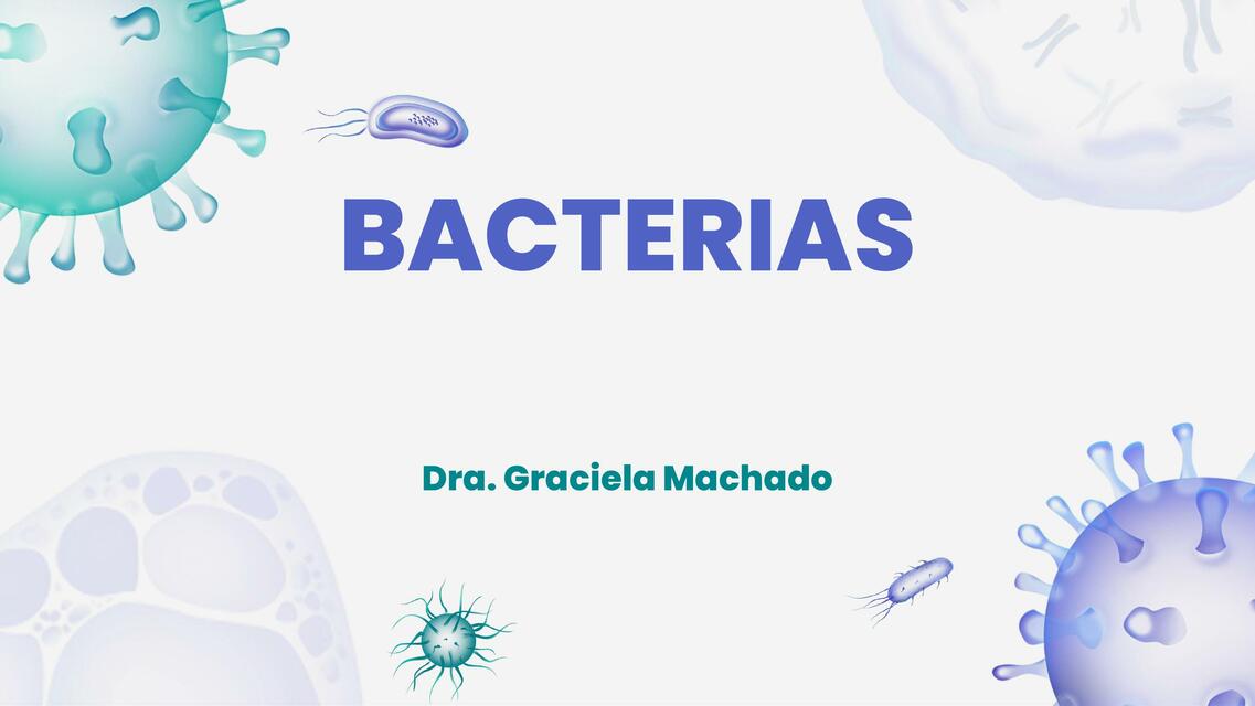 Bacterias