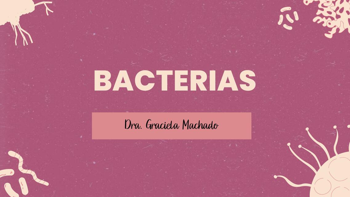 Bacterias