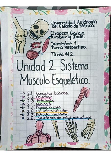 Sistema Musculoesquelético