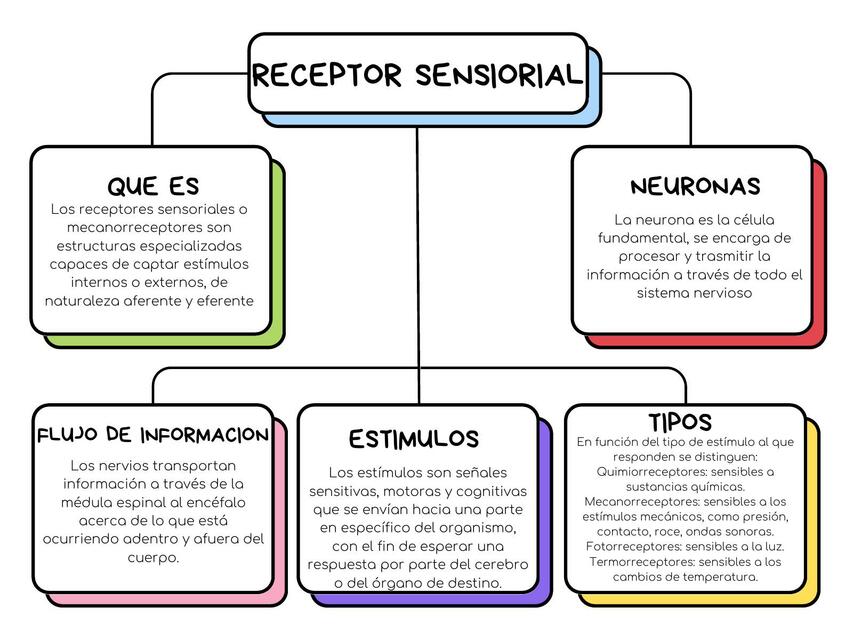 Receptor Sensorial