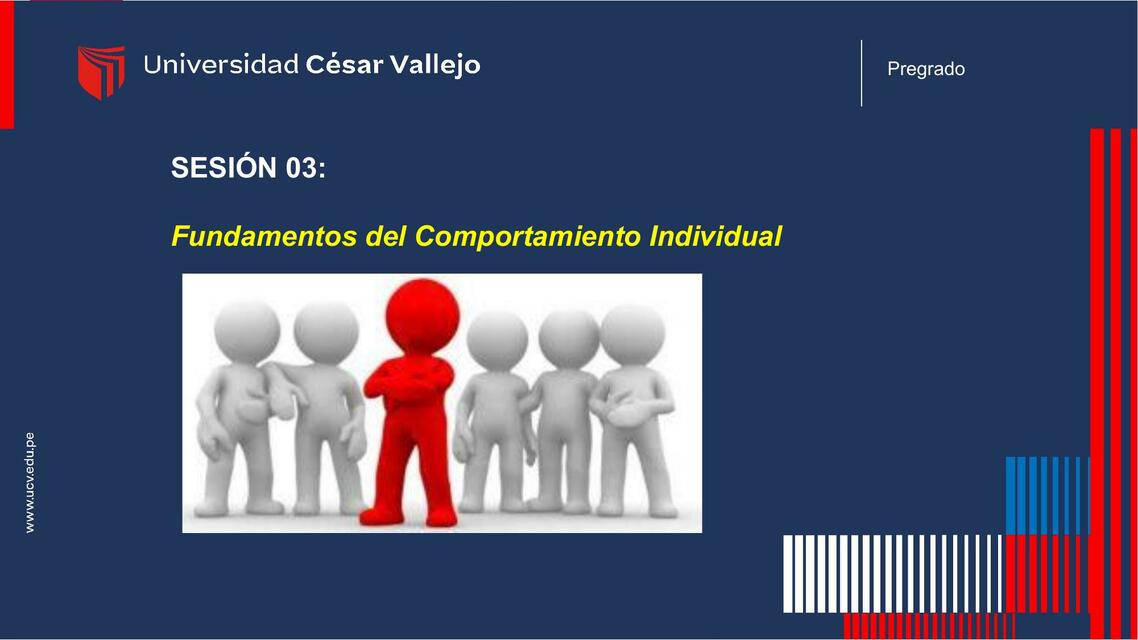 Comportamiento Individual