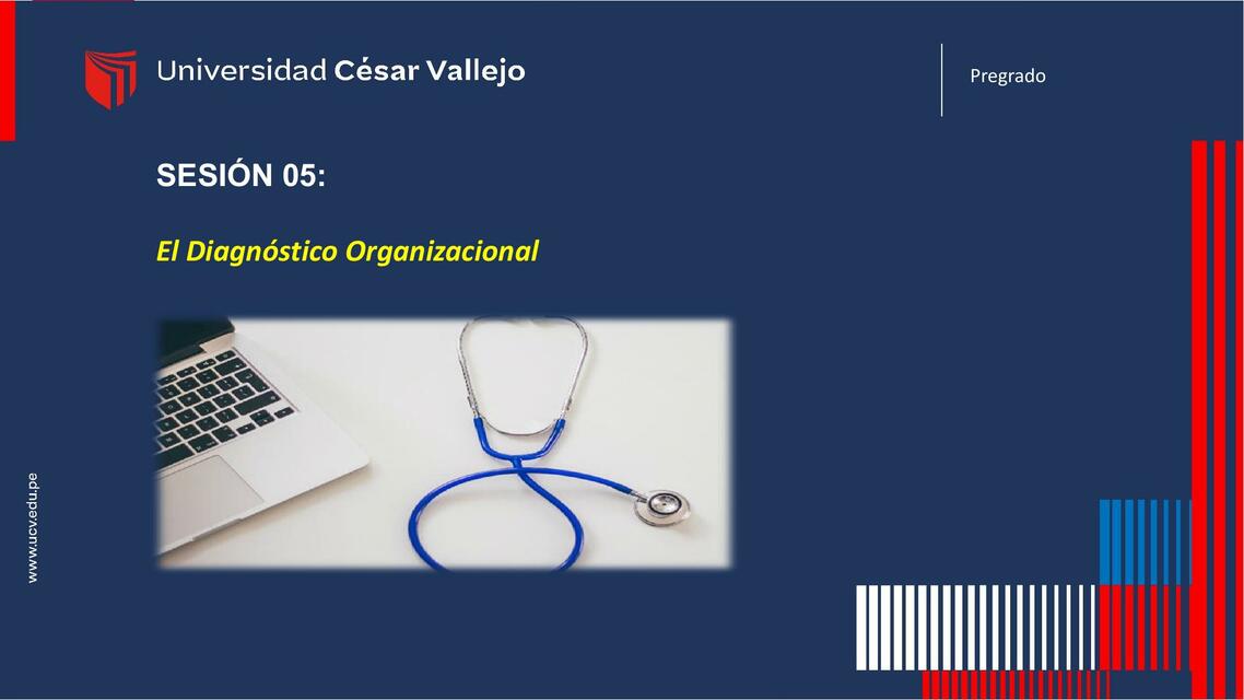 Diagnóstico Organizacional