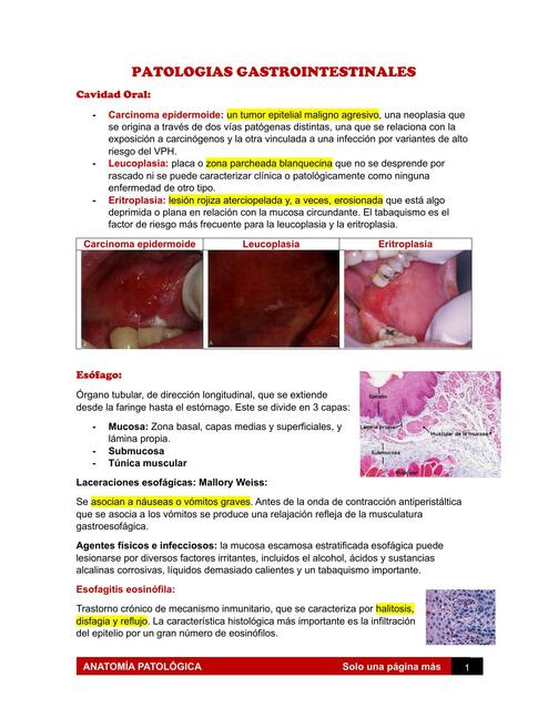 Patologías Gastrointestinales