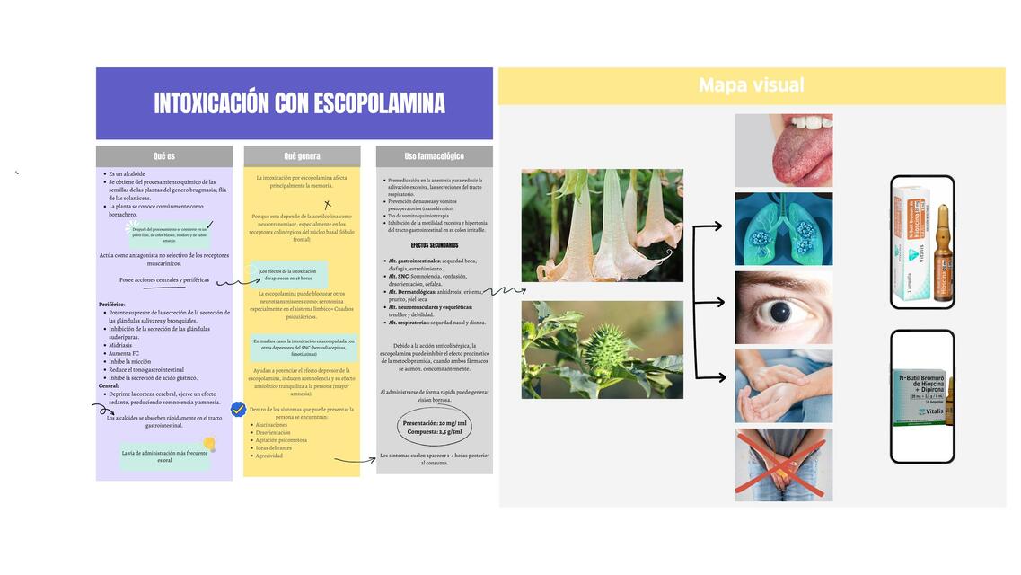 Intoxicación con Escopolamina