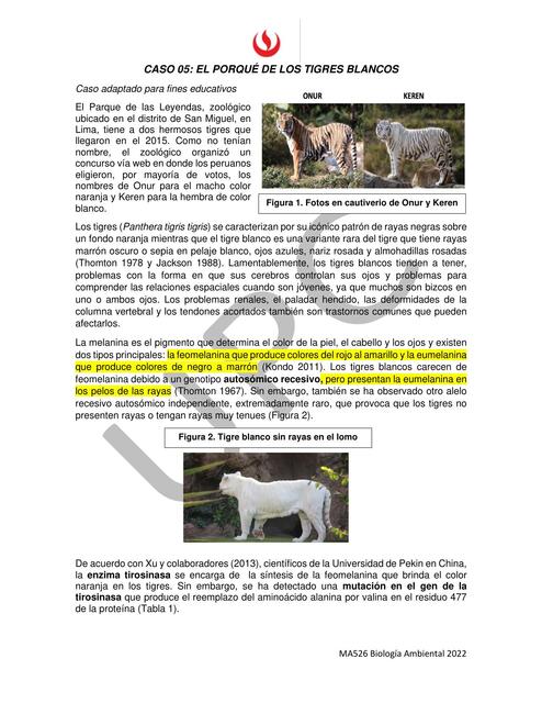 Caso resuelto | Evelyn Montes Valdez | uDocz