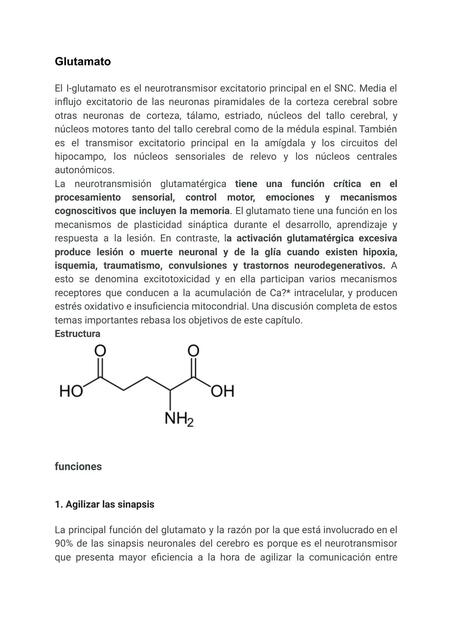 Glutamato 