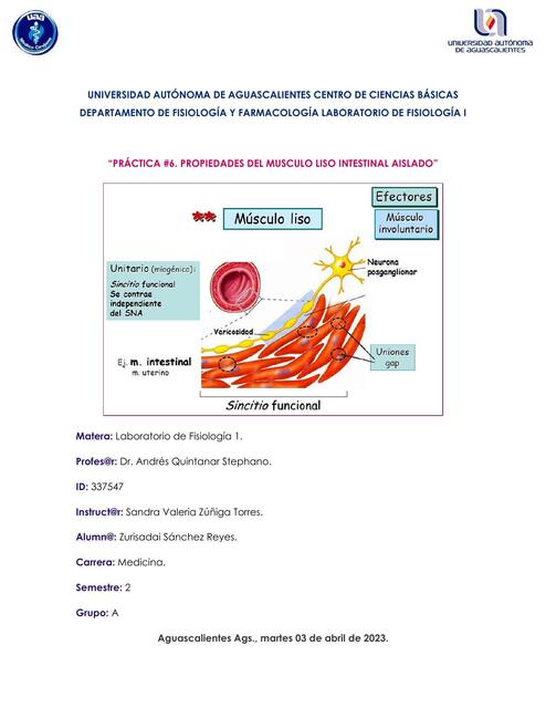 Propiedades del Músculo Uso Intestinal Aislado 